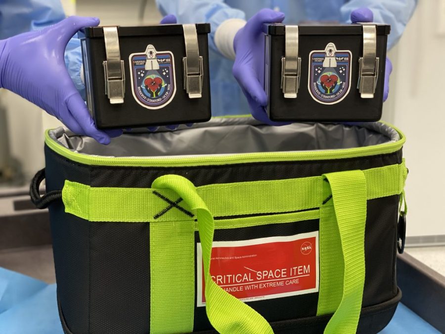 From space to the Cardinal Heart team at NASA's Kennedy Space Center's Space Station Processing Facility, critical science was returned in less than six hours from splashdown to the hands of researchers who are studying the effects of gravitational force changes on cardiovascular cells using engineered heart tissues.