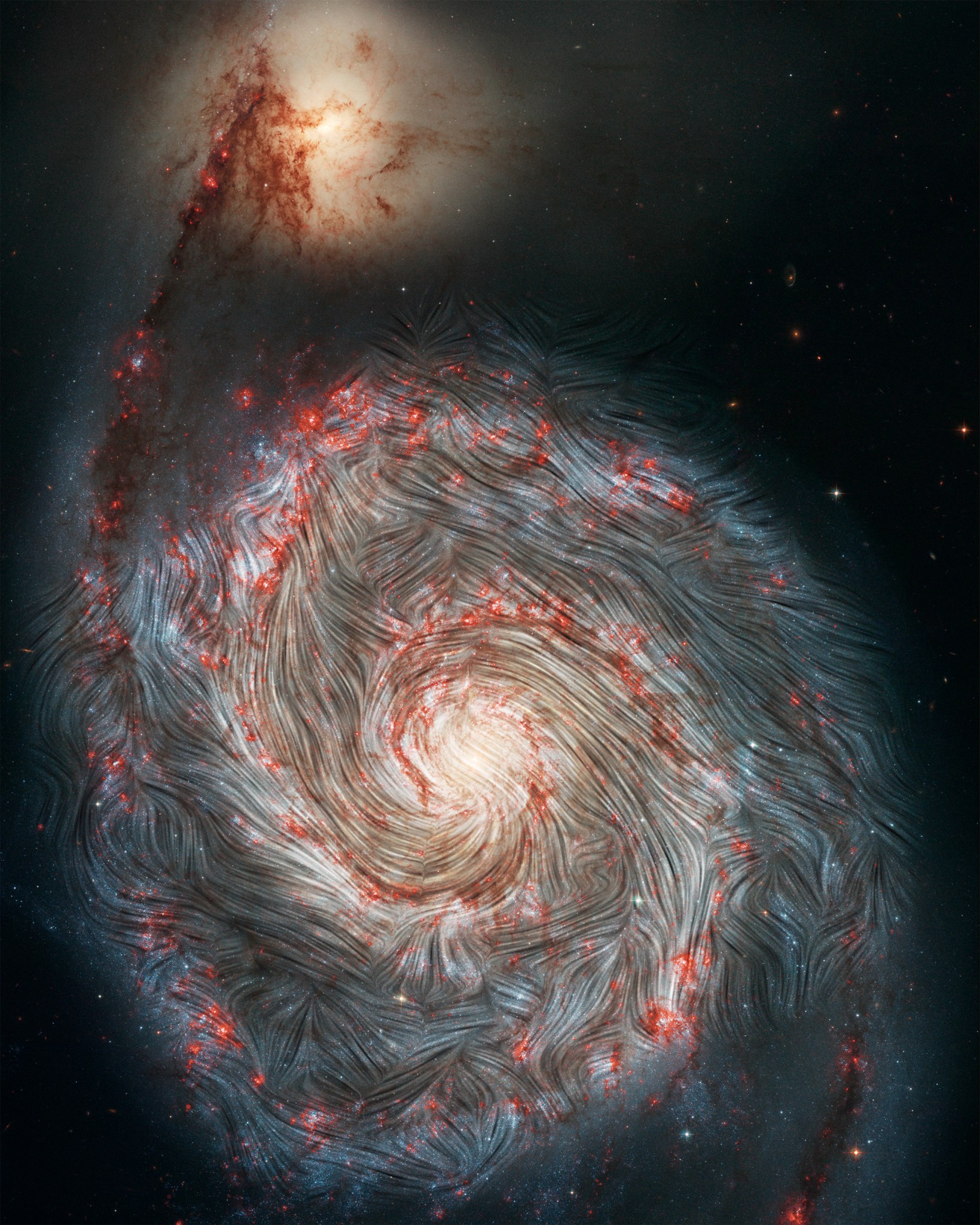 Magnetic field streamlines over an image of the Whirlpool galaxy's blue and red spiral arms.