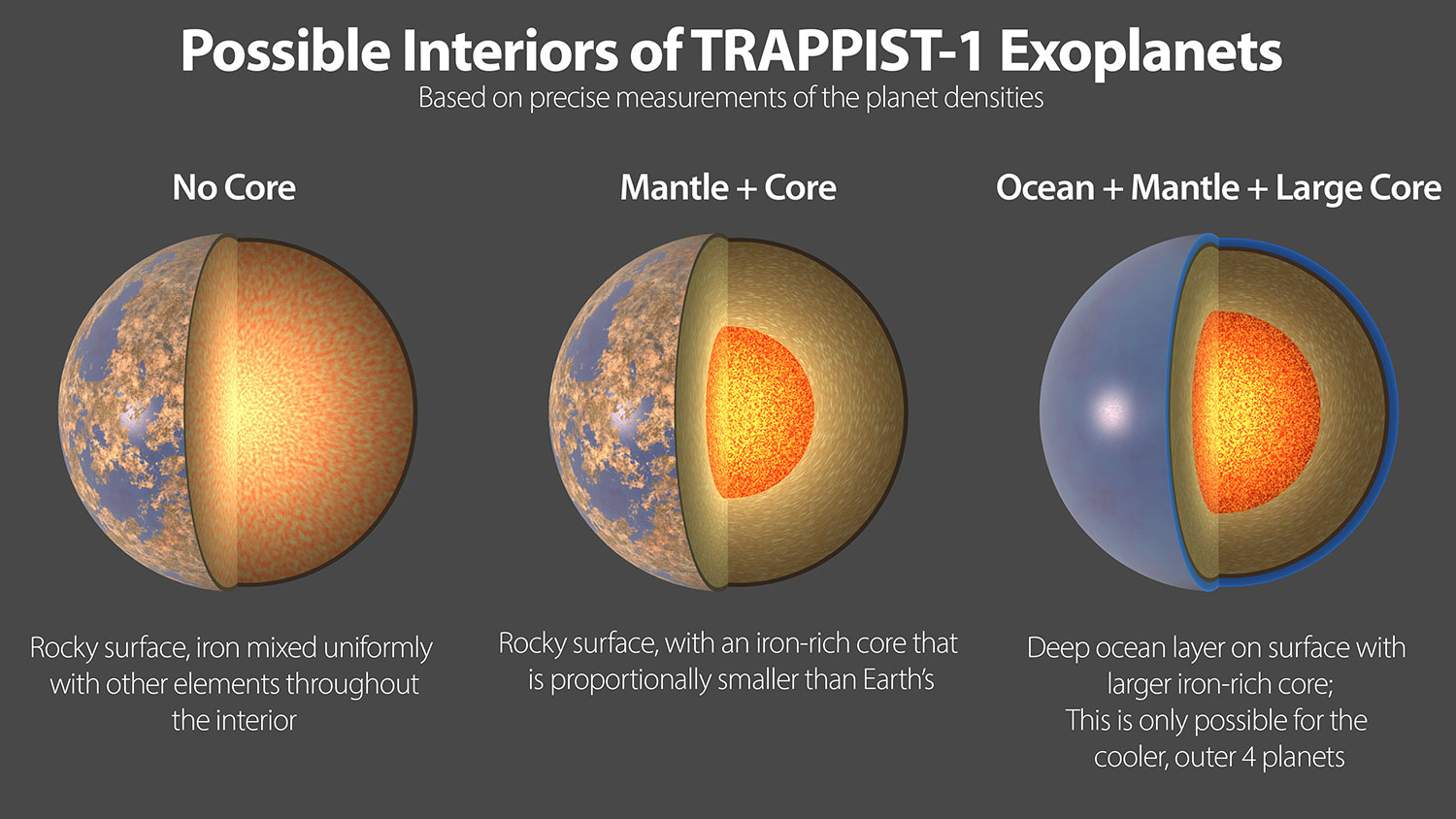 Three possible interiors of the TRAPPIST-1 exoplanets