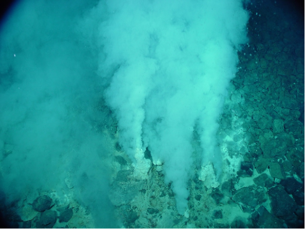 Seafloor hydrothermal vents. Wikipedia
