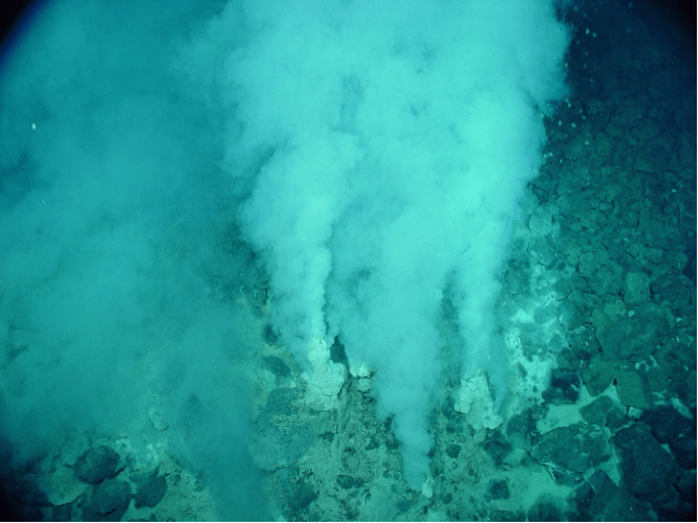 Seafloor hydrothermal vents. Wikipedia