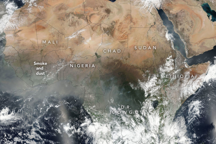A natural color image of fires in Africa observed by Suomi NPP on Feb. 14, 2020. The land is mostly brown with patches of green vegetation. The center is obscured by dark gray smoke.