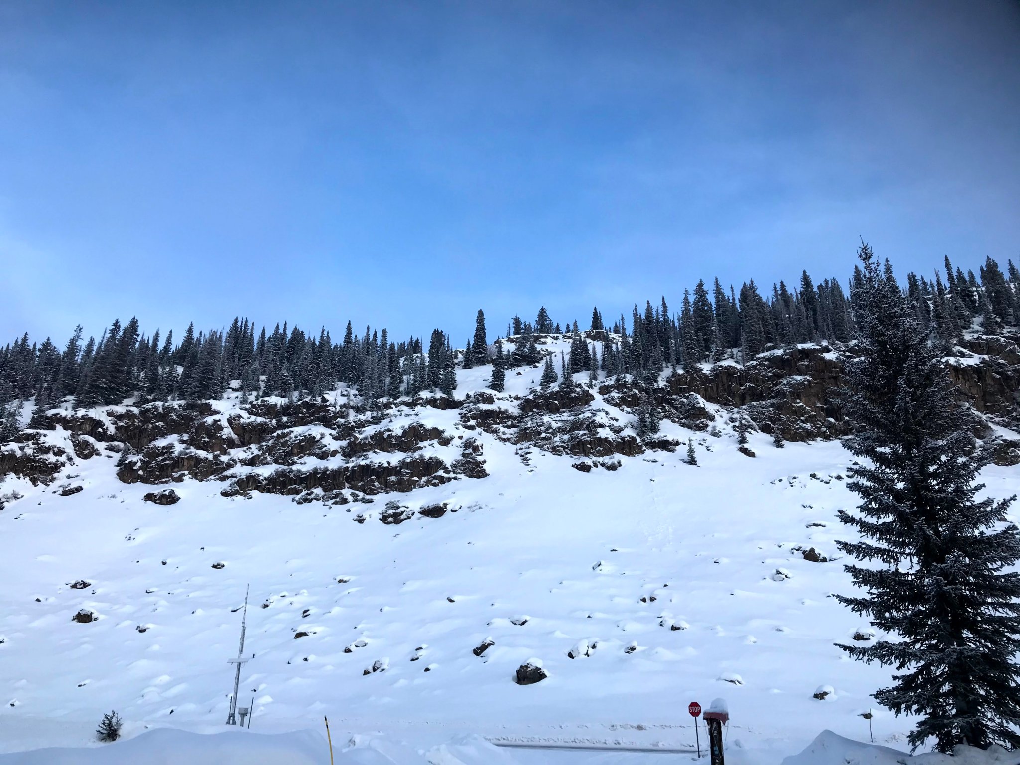 A photo looking upward at a snowy incline, with a road at the bottom and small dark pine trees at the top. The hill is very steep, nearly vertical, and dark brown rocks protrude from the snow, more near the top. In the right foreground, a tall evergreen tree leans into the frame. The sky is blue with a few light clouds.