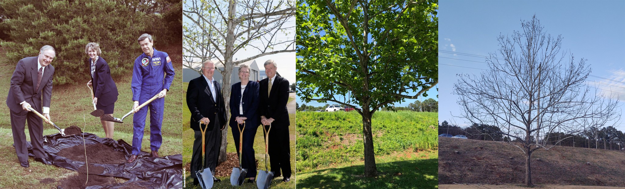 : A Half-Moon Tree is planted outside Building 4708 at Marshall in 1996 by center leaders of the time.