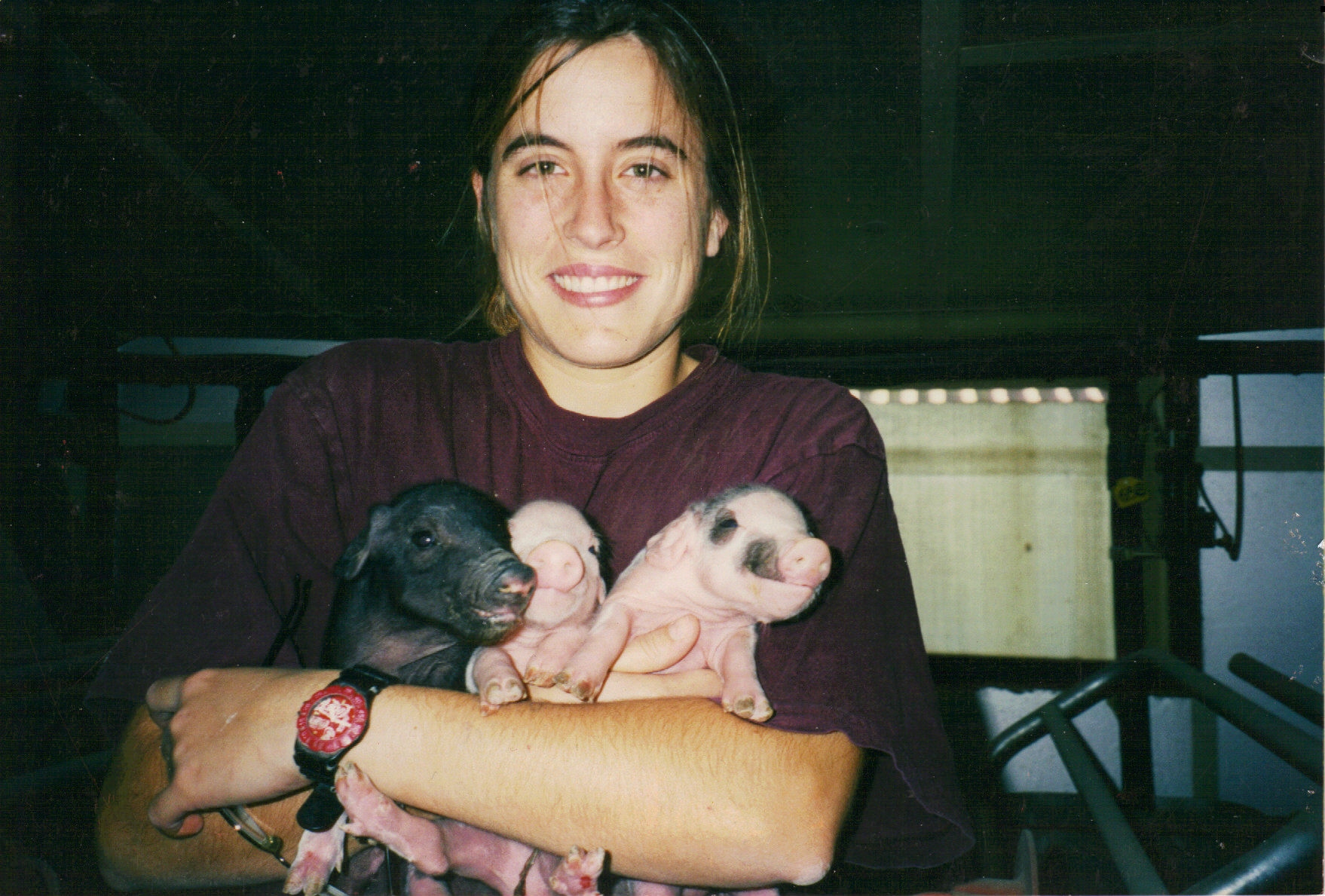 Woman with brown hair pulled back holds three piglets, two pink and one black. 