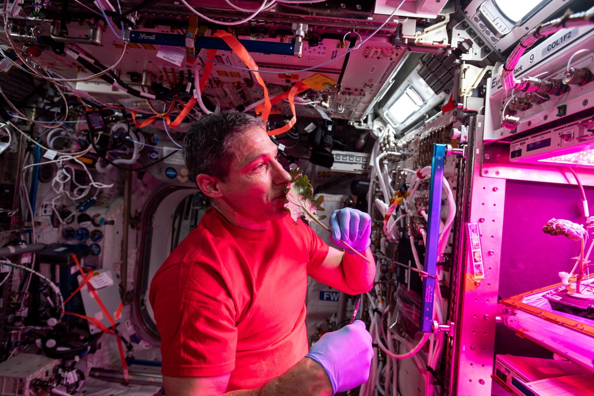 NASA astronaut Michael Hopkins, the commander of Crew-1, aboard the ISS