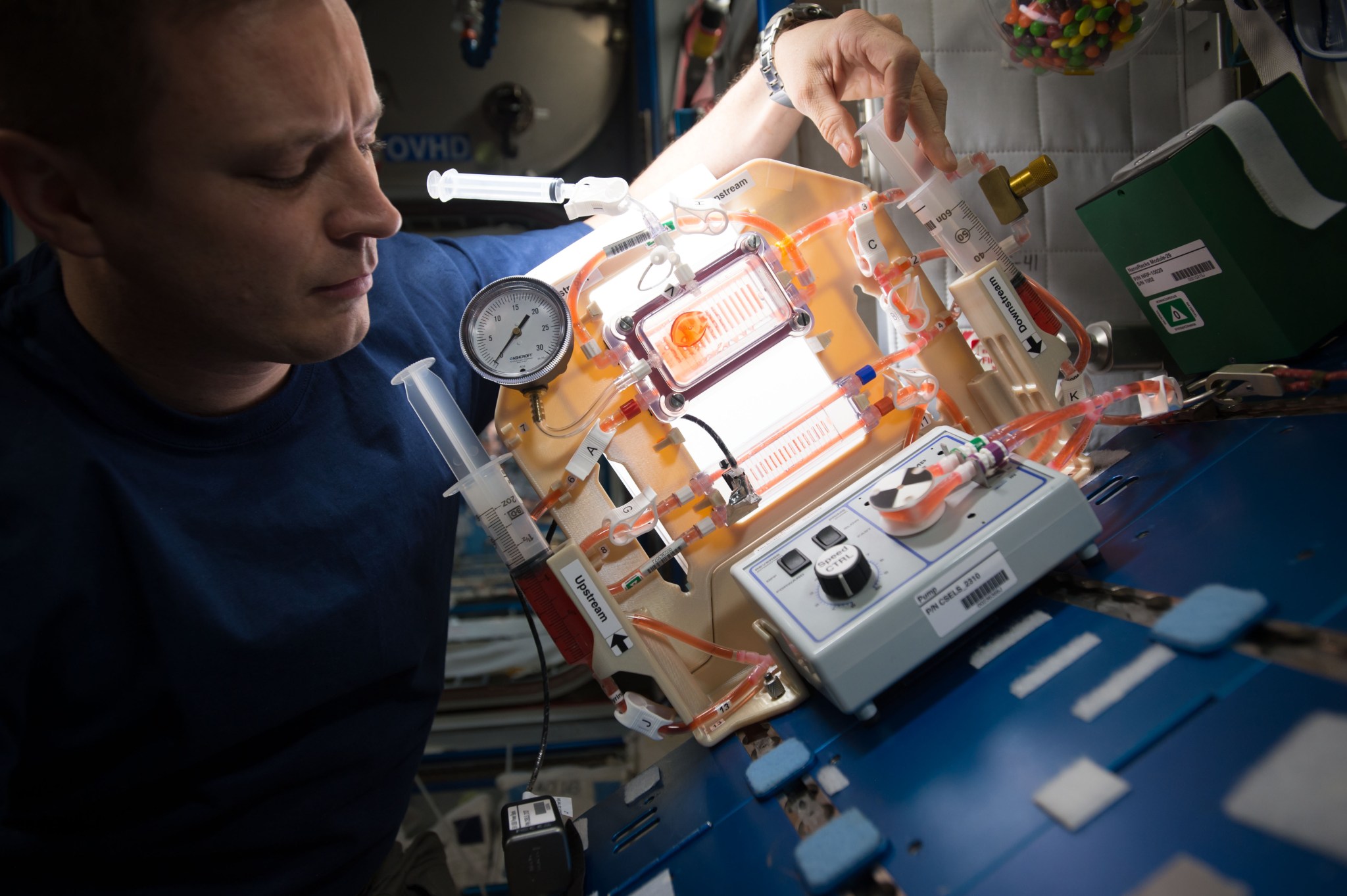 astronaut Jack Fischer sets up hardware inside the space station