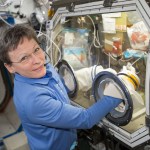 Astronaut Peggy Whitson working on the OsteoOmics bone cell study