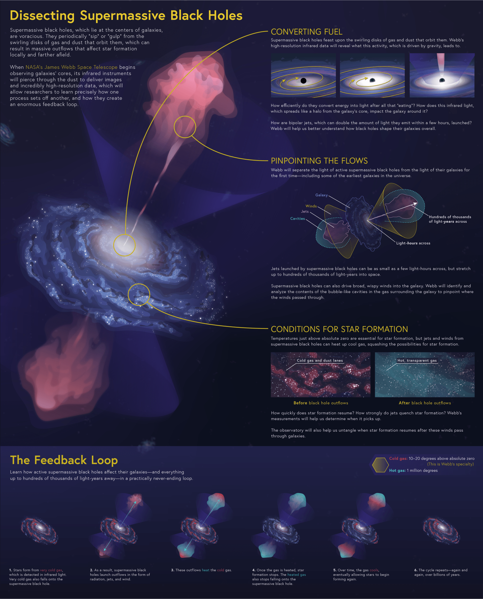 Supermassive black holes, which lie at the centers of galaxies, are voracious.