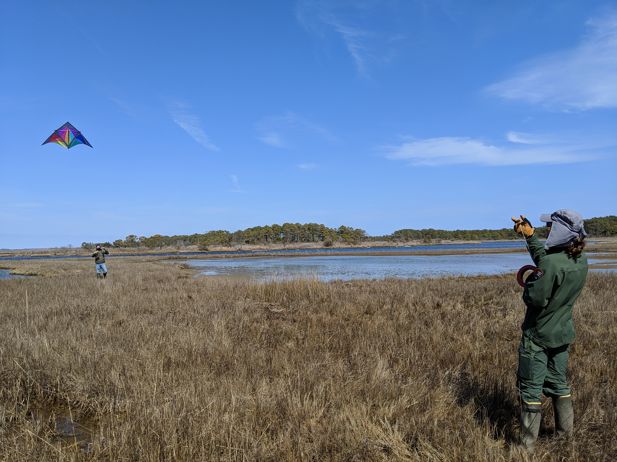 A person stands in a marsh area holding the end of a large, rainbow kite. Another person stands underneath, looking up at it.