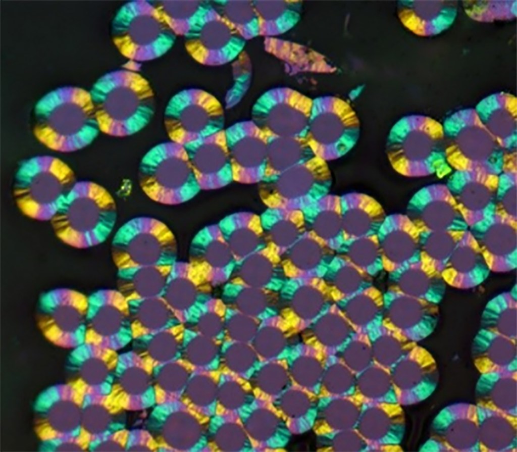 magnified cross sections of fibers ringed with deposited carbon that appears green, dark purple, and yellow, on black background.