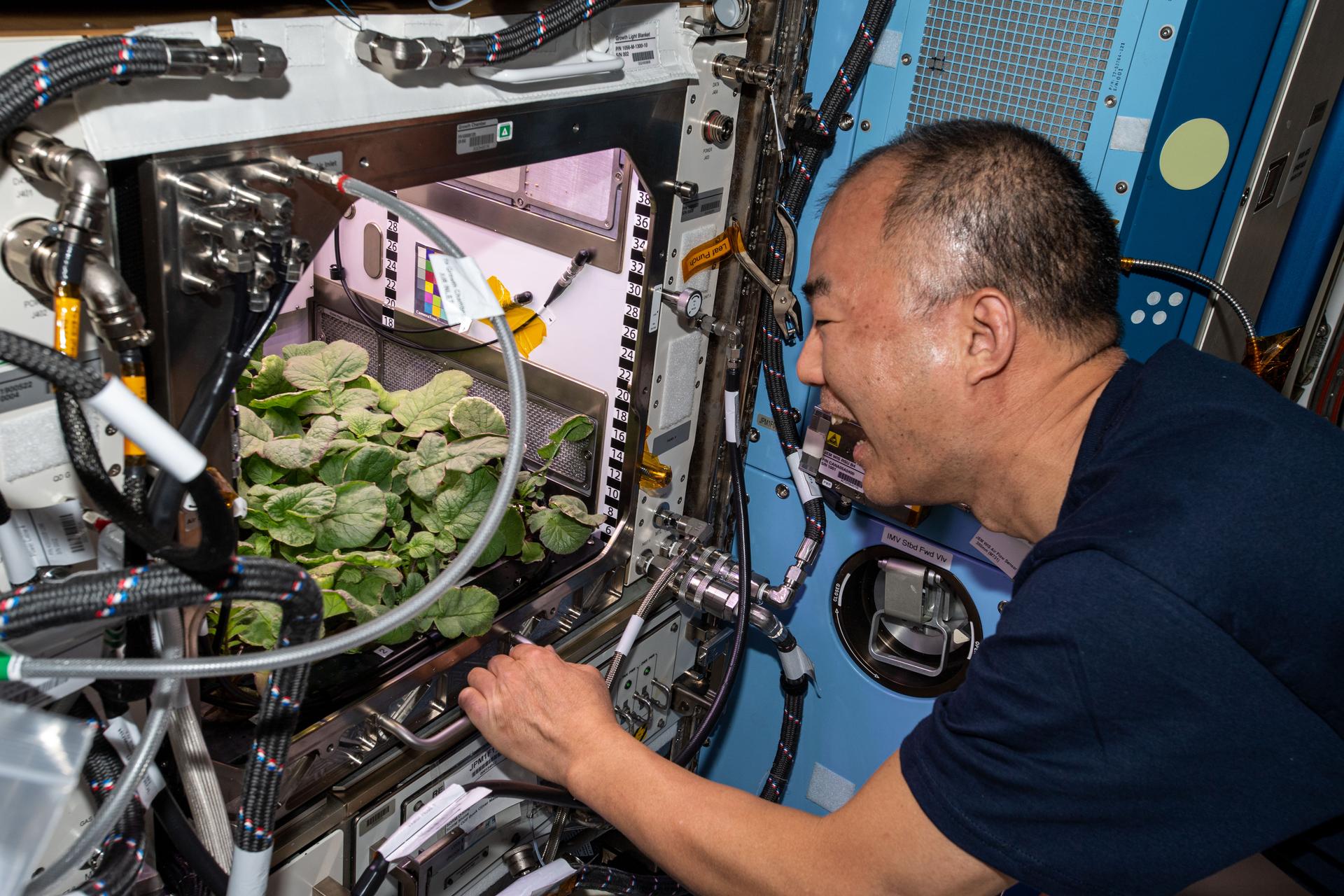 Japan Aerospace Exploration Agency astronaut and Expedition 64 Flight Engineer Soichi Noguchi on the ISS