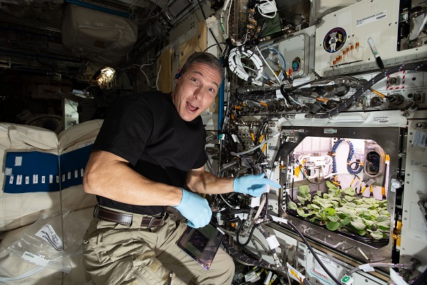image of astronaut working on experiment