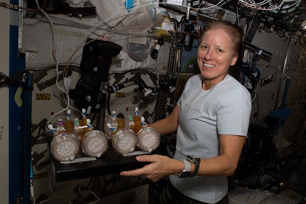 image of astronaut working on experiment