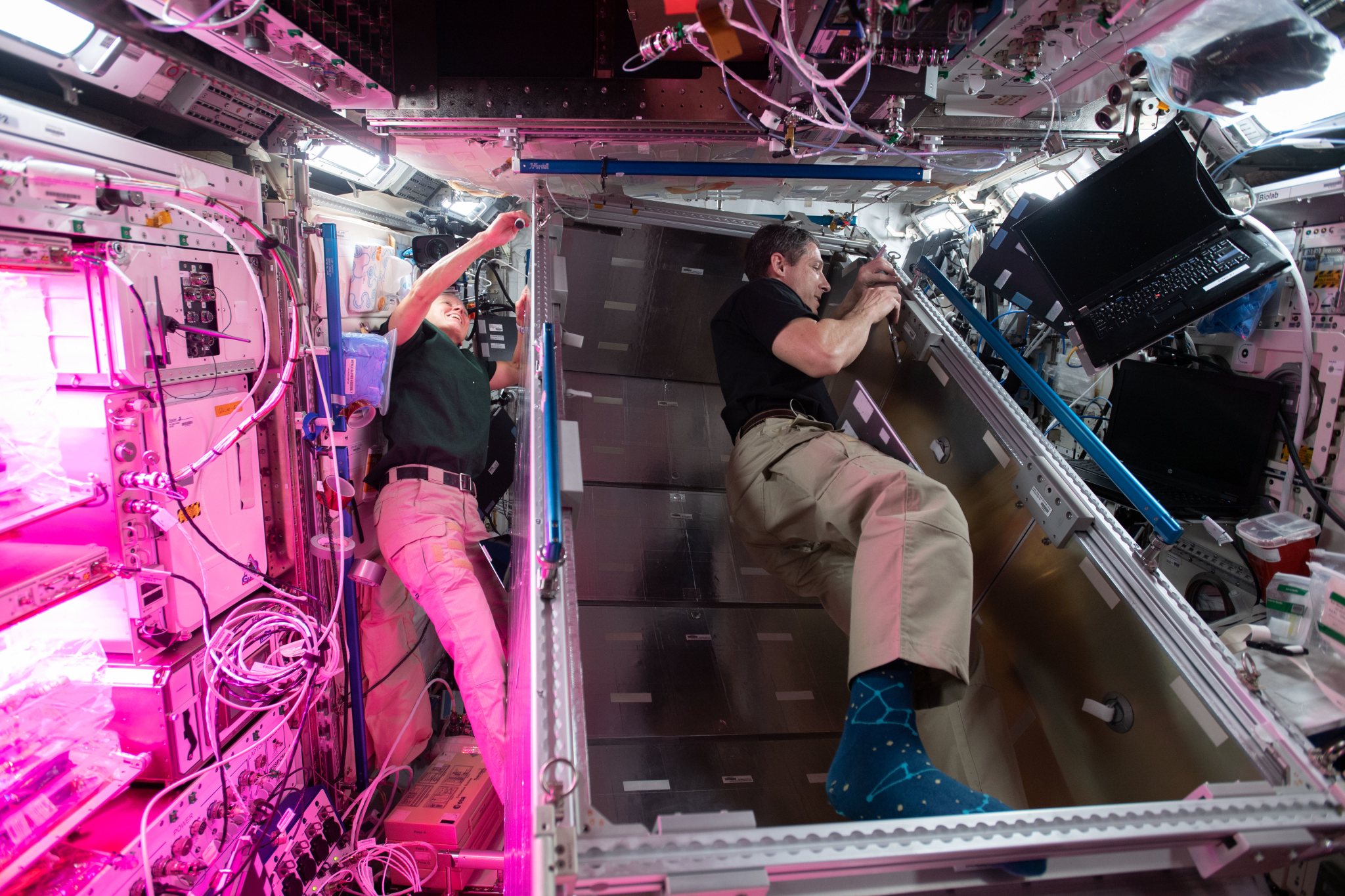 NASA Flight Engineers Shannon Walker and Michael Hopkins install temporary sleeping quarters inside the Columbus laboratory module from the European Space Agency. 