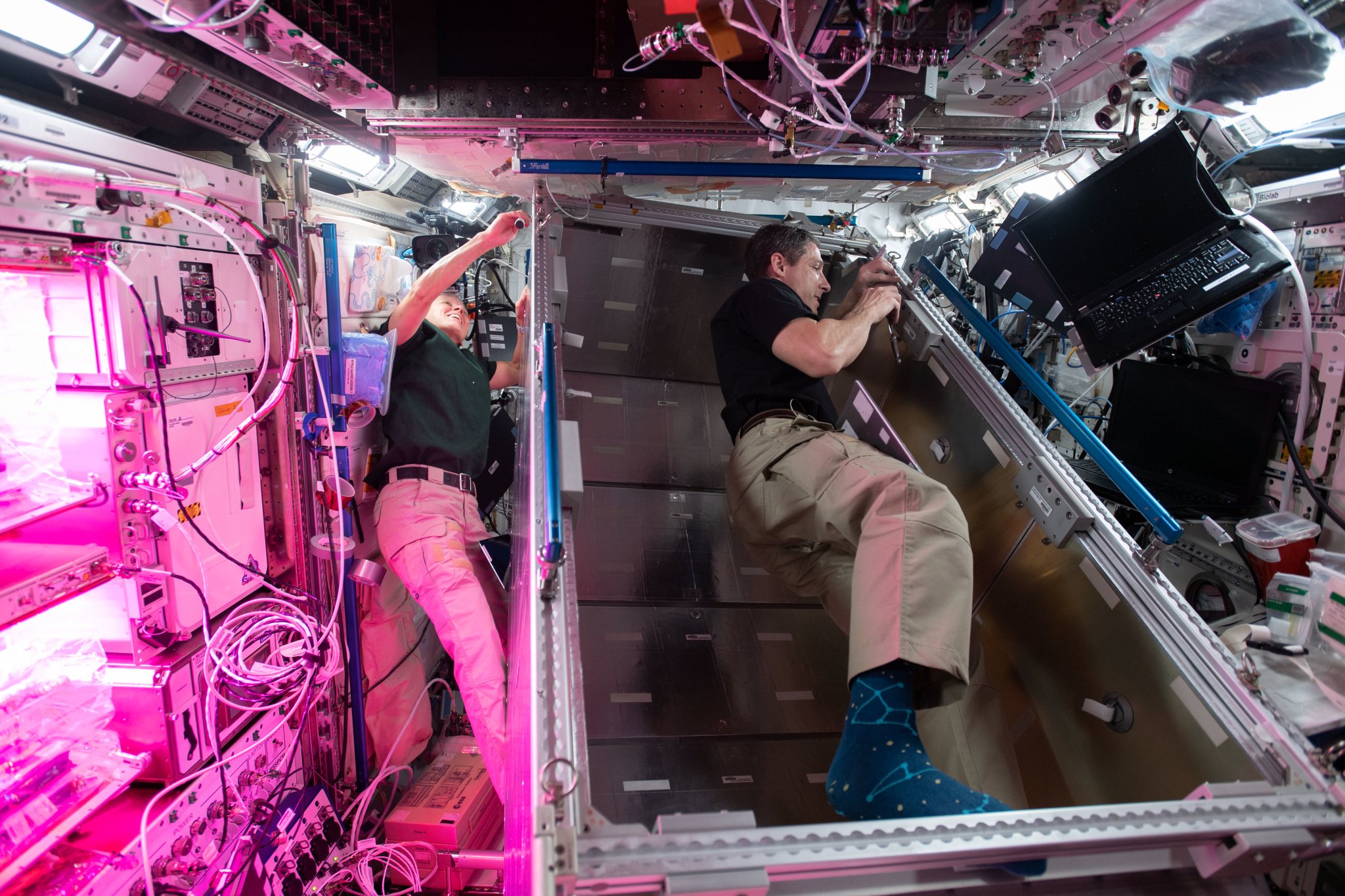 NASA Flight Engineers Shannon Walker and Michael Hopkins install temporary sleeping quarters inside the Columbus laboratory module from the European Space Agency.