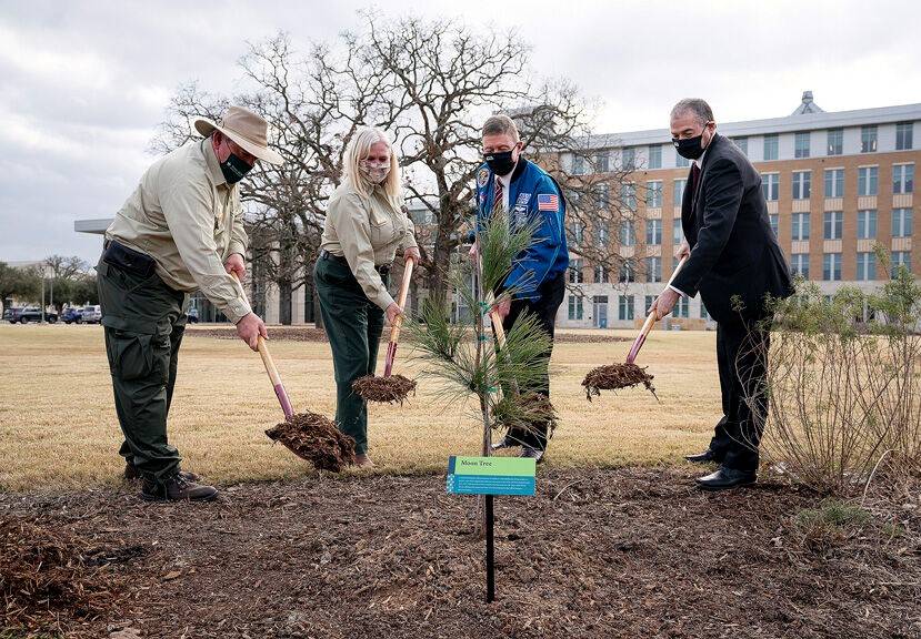 arbor_day_20_texas_am_tree_planting_feb_8_2021