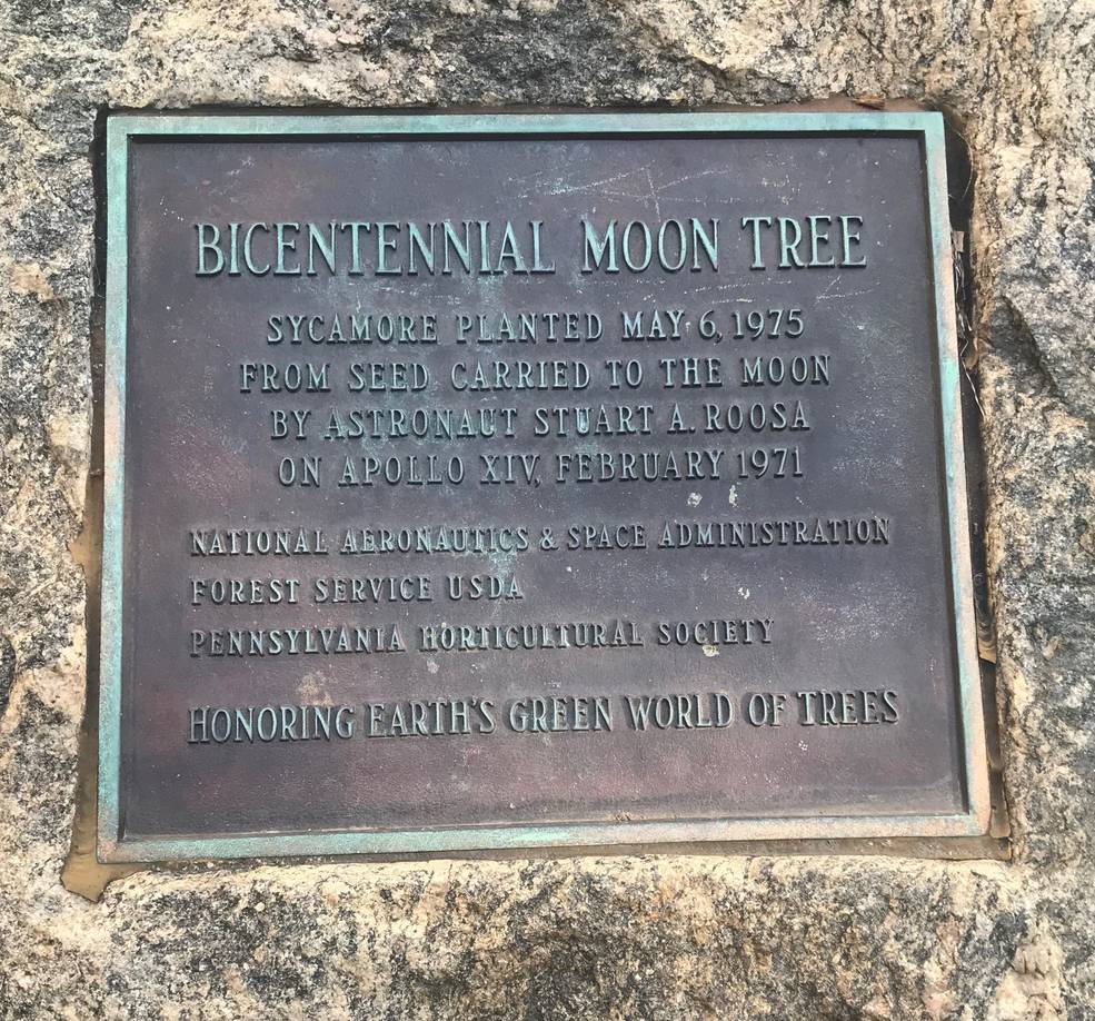 arbor_day_6_bicentennial_moon_tree_plaque_philadelphia_sep_2019