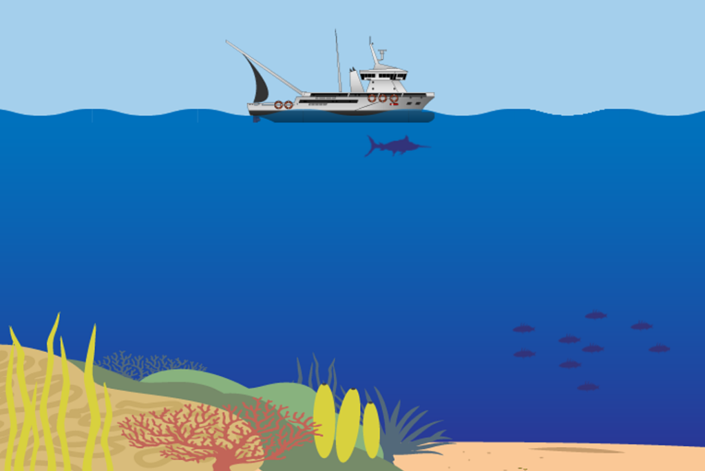 The Coral Bleaching game