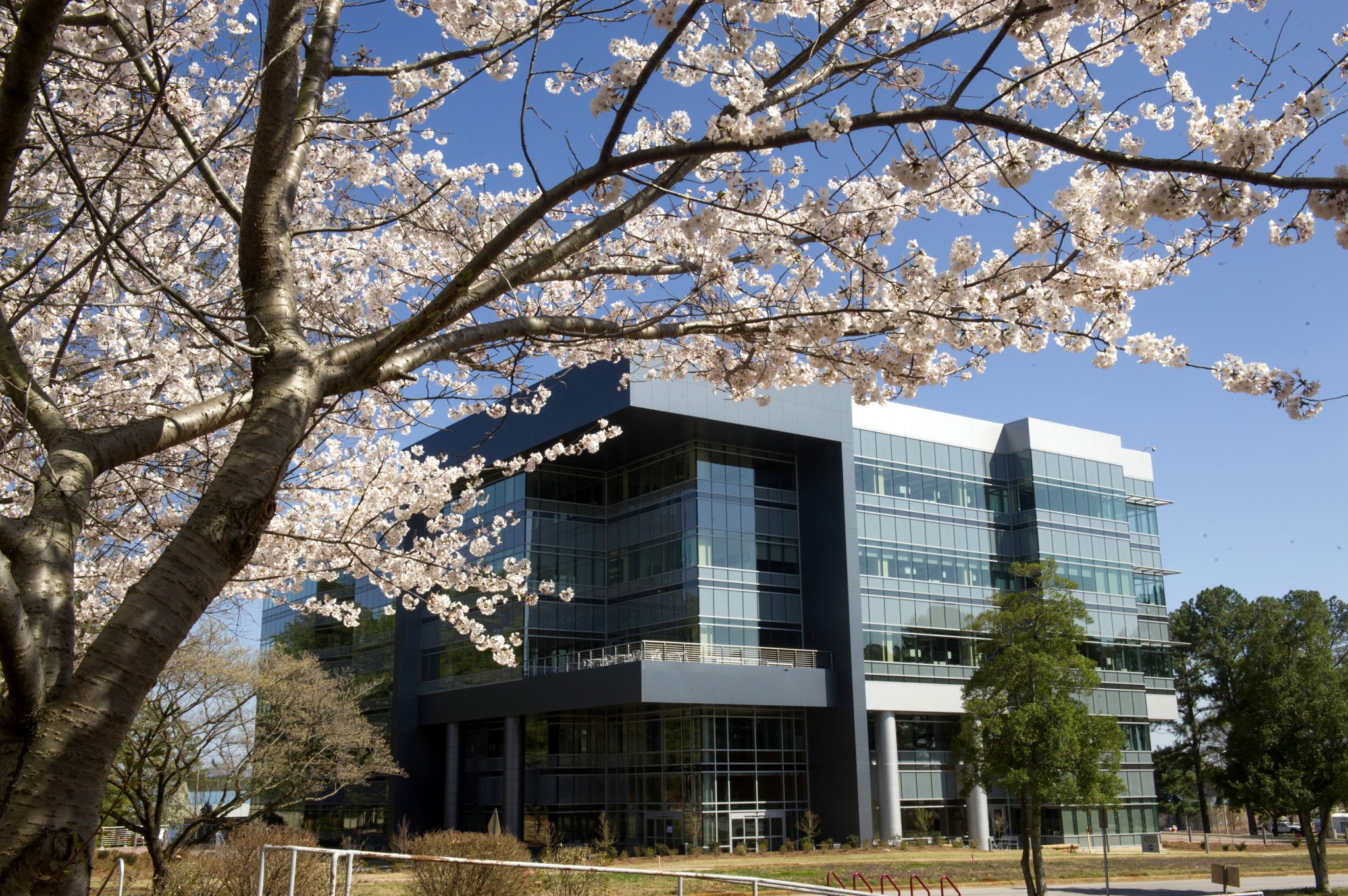 Spring is in full bloom outside Building 4220 in this 2014 image. 