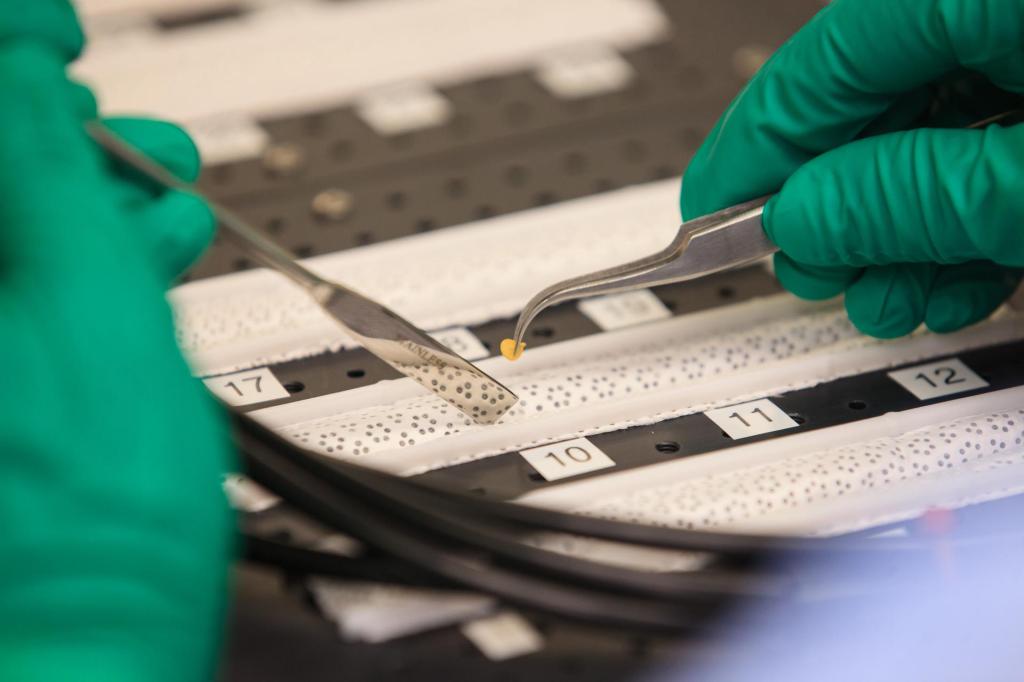 
			Pepper Seeds Ready to Spice Up Space Station - NASA			