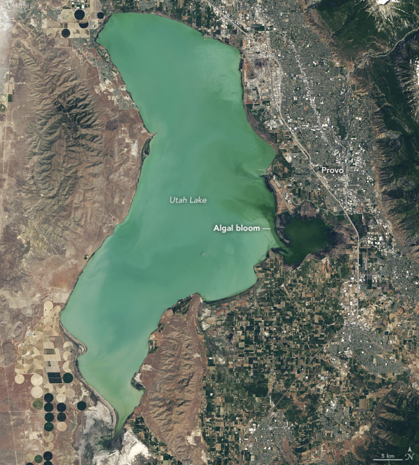 Satellite image of an algal bloom in Utah Lake on June 20, 2017.