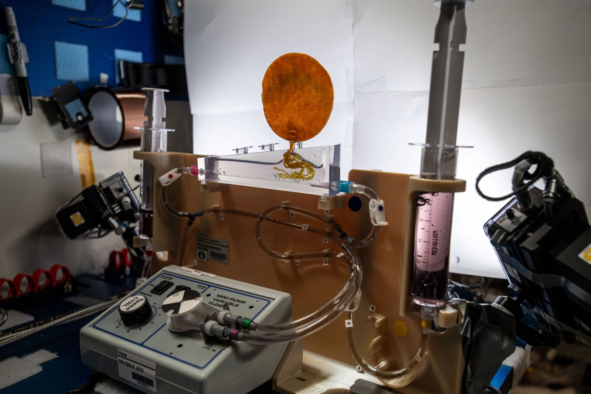 Simulated plant with roots shown on space station testbed connected to tubes and monitoring equipment.