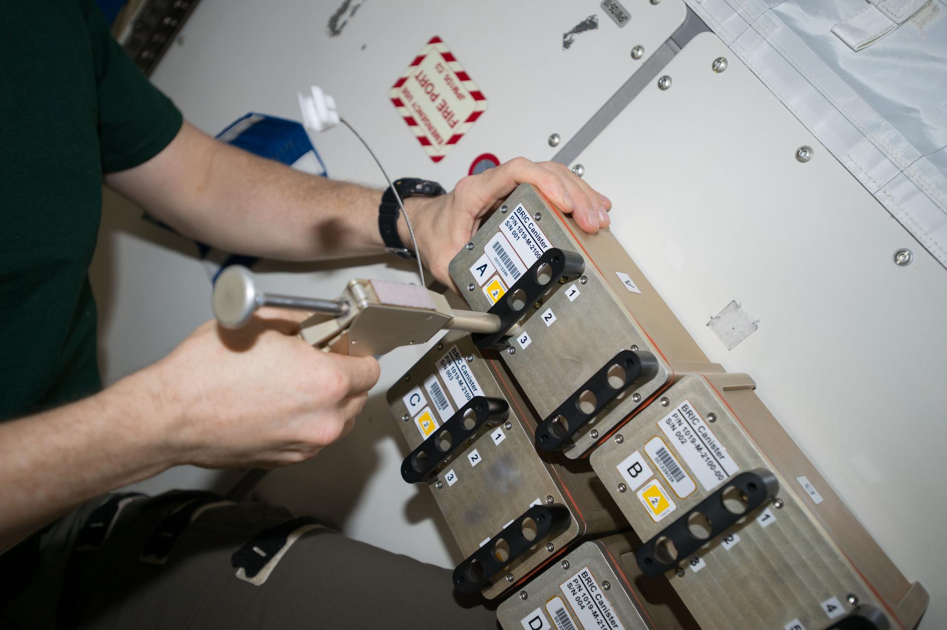 An image of the Biological Research In Canisters (BRIC) hardware the BRIC-24 experiment will utilize aboard the International Space Station.