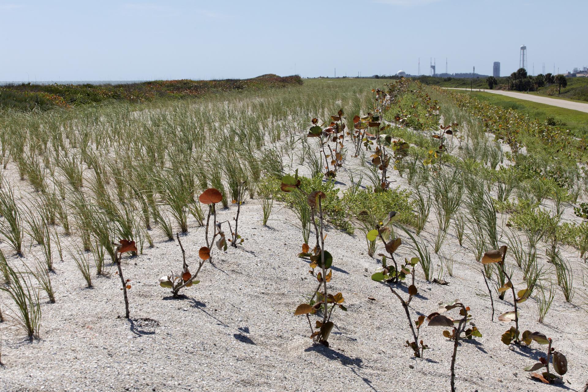Shoreline Restoration project at Kennedy Space Center