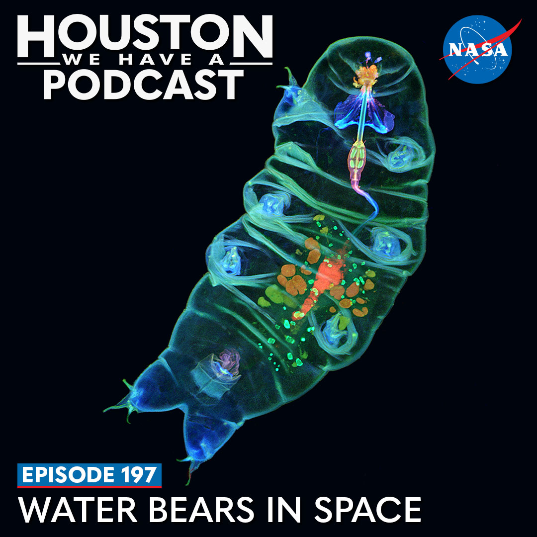 Water Bears in Space