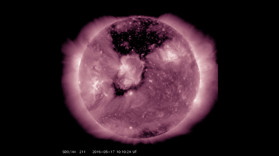 An extreme ultraviolet view of the Sun shows a dark coronal hole near the Sun's north pole.