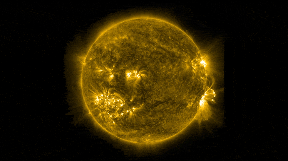 An extreme ultraviolet view of the Sun shows bright loops of material