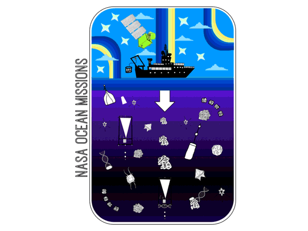 Animated gif of an illustrated boat on an ocean with a cutaway view of live and scientific instruments in the ocean. The layers of the water get darker as they get deeper. The gif changes colors between monochromatic shades of each color.
