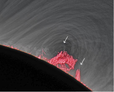 An eclipse image shows the black disk of the Moon, blocking the Sun, in the lower left. Bright, fiery, red prominences rise up from the solar surface. Gray, arch-shaped features surround the prominences.