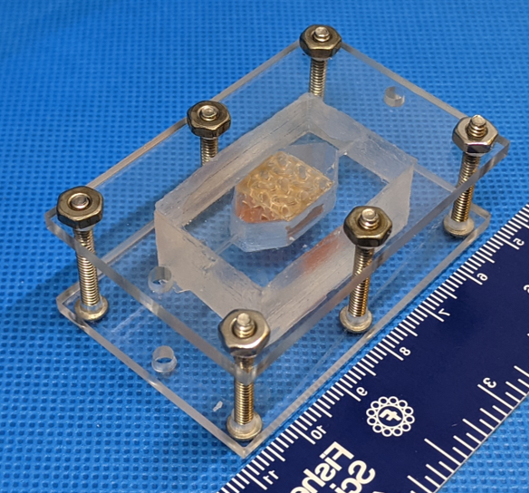 Team Winston, the first-place winner of NASA's Vascular Tissue Challenge, used a chamber to hold the printed tissue and test a process called perfusion.
