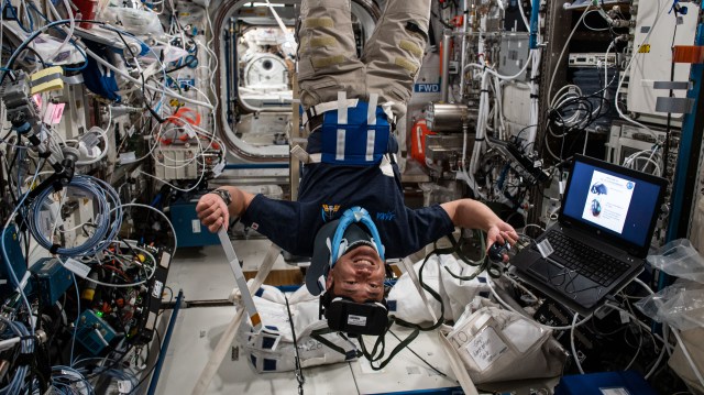 image of astronaut wearing head gear
