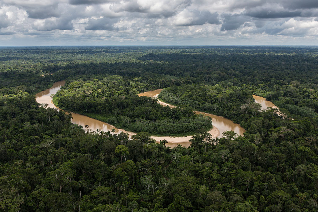 Amazon rain forest in Peru