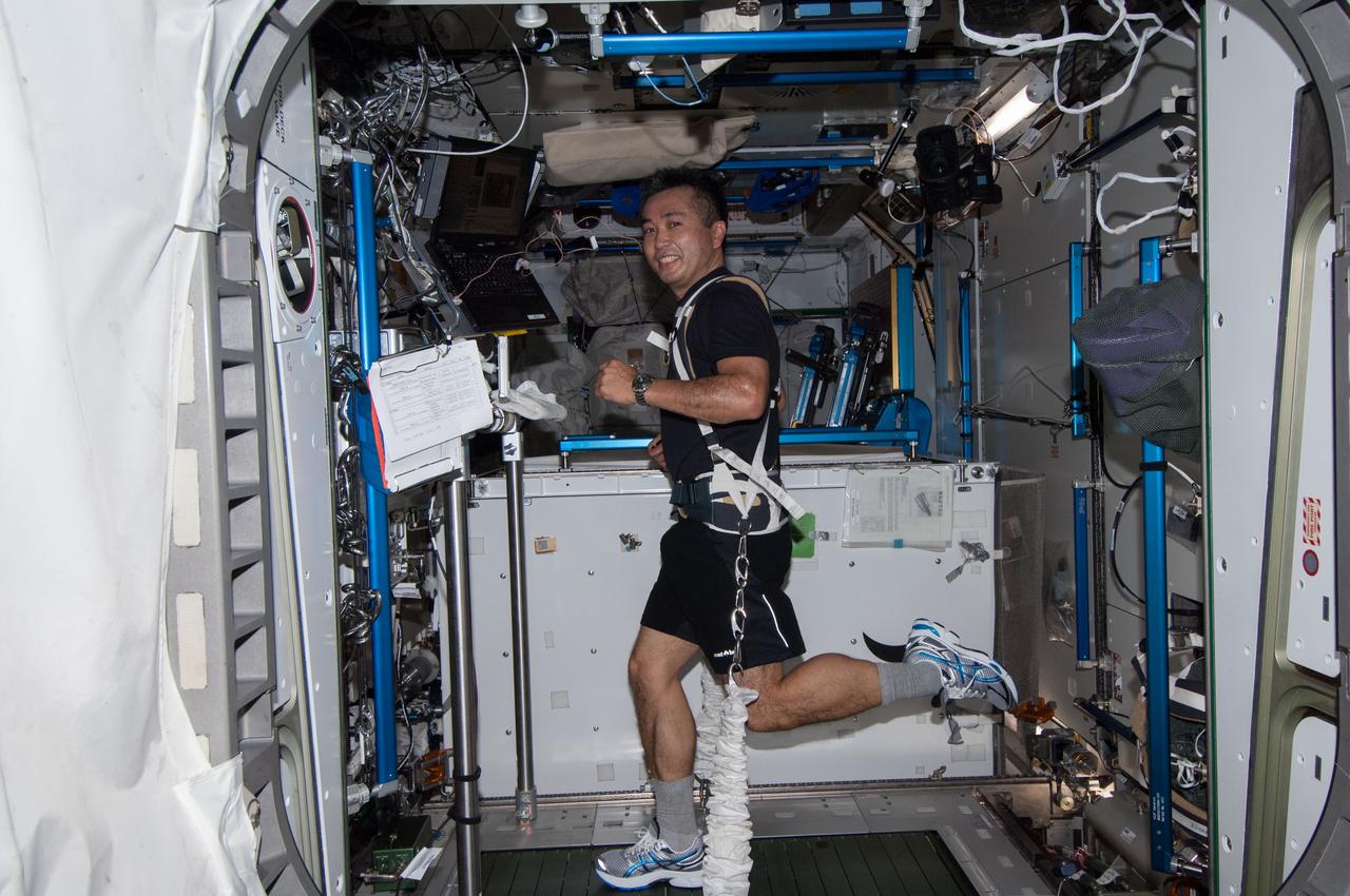 Astronaut Koichi Wakata exercising on the space station’s treadmill.