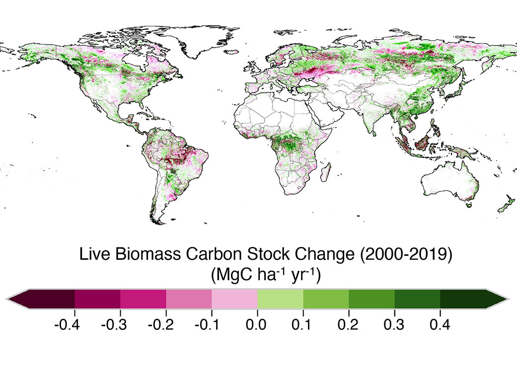 Map shows the change in how much carbon a vegetated area stored or emitted