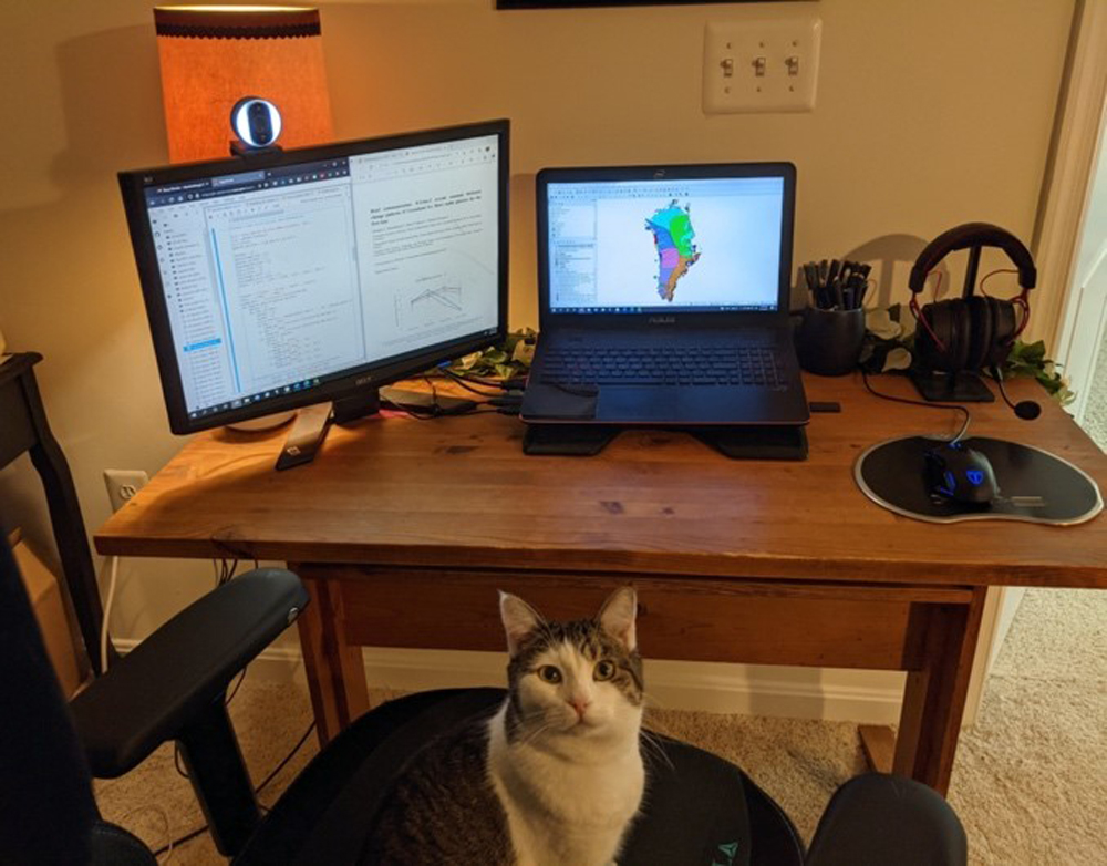 A wooden desk with a laptop showing a map of Greenland and a monitor, showing text on the screen. A grey, brown, and white cat looks at the camera, sitting in an office chair.