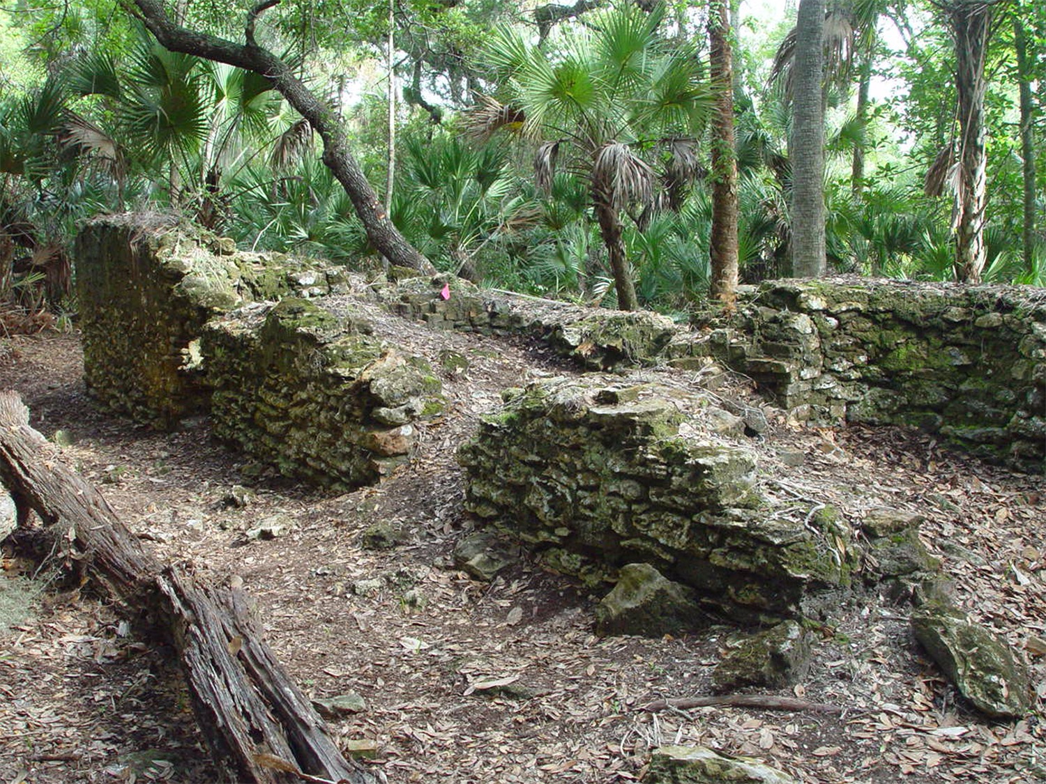 Archeological ruins of the Elliot Plantation sugar factory are revealed through the oak hammock on NASA’s Kennedy Space Center in Florida in 2008. 