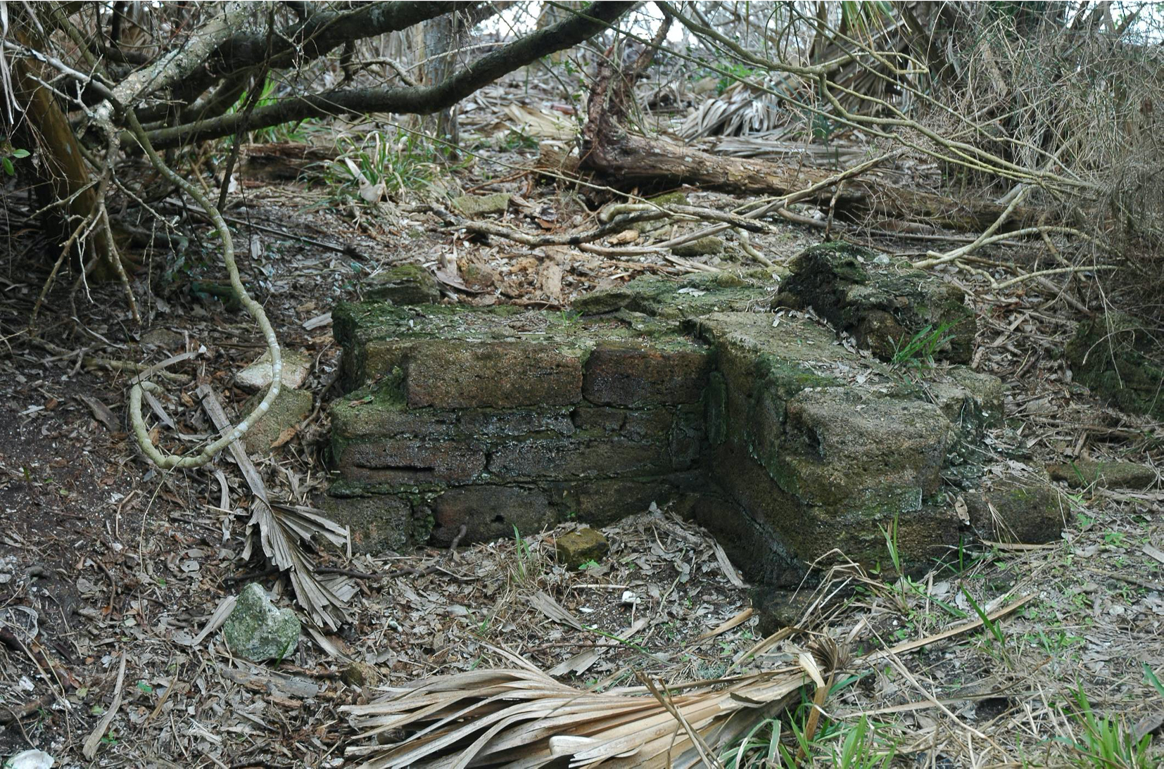 Archeological ruins of Elliot Plantation are revealed through the oak hammock on NASA’s Kennedy Space Center in Florida in 2008. 