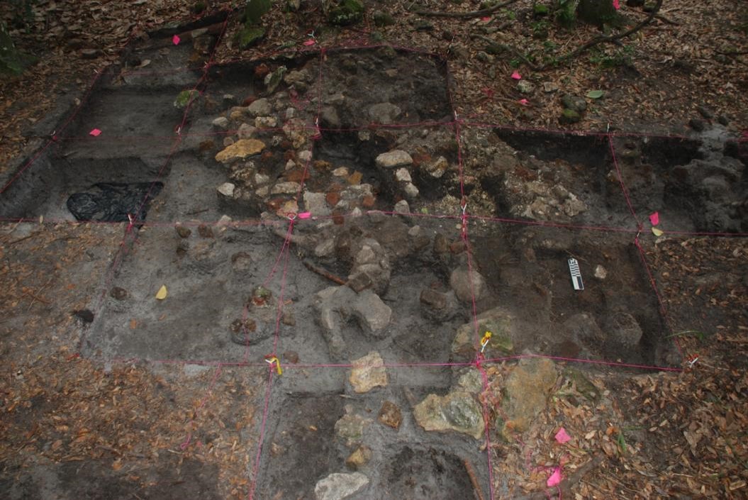 Archeological ruins of Elliot Plantation are revealed through the oak hammock on NASA’s Kennedy Space Center in Florida in 2009.