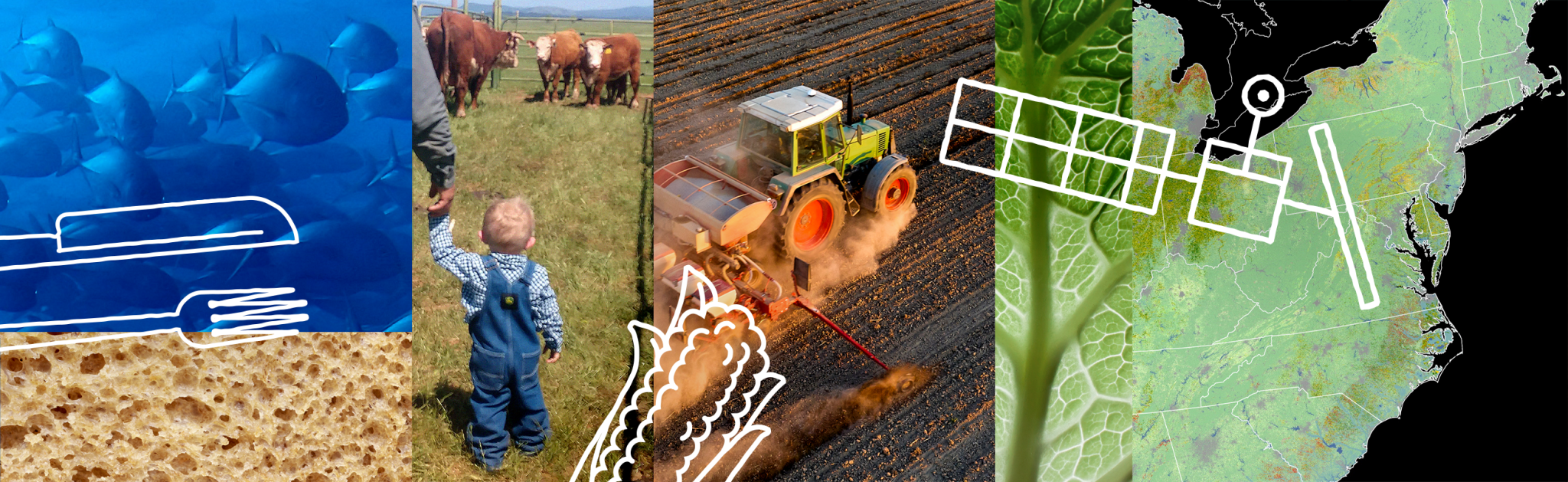 Montage of four images of agriculture with white satellite and corn graphic outlines over the top.