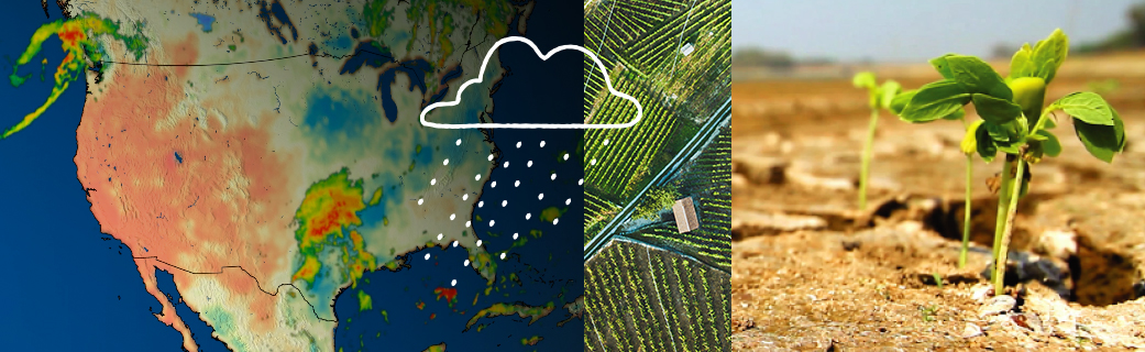 A banner image showing images related to agriculture. On the left is a graphic showing precipitation and soil moisture in the United States, with the country's baseline color appearing beige, and orange patches showing dry areas to the west and blue and green patches showing wet areas and rain in the east. In the center is a strip of an aerial photo of agricultural fields, with green plants growing in rows at different angles and a gray road cutting through the center. On the right is a close-up photo of several small seedlings growing out of dry, reddish-brown ground. A white line drawing of a cloud with rain is superimposed over the left and center images.