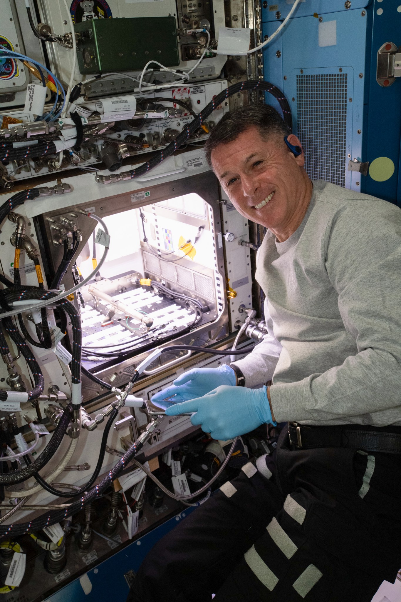 NASA astronaut Shane Kimbrough inserted 48 Hatch chili pepper seeds into the Advanced Plant Habitat (APH), on July 12, 2021 to initiate the Plant Habitat-04 experiment. 
