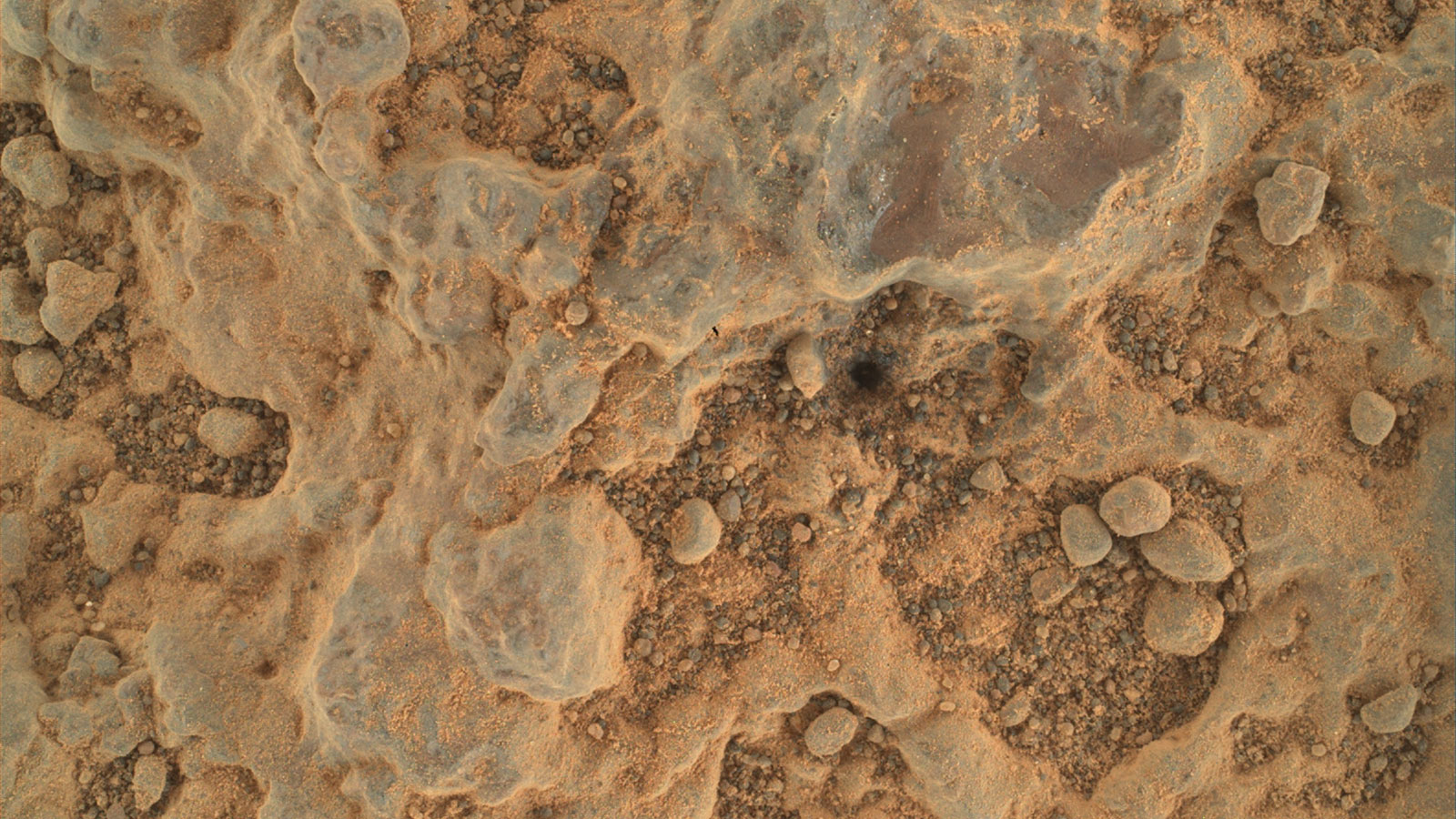 NASA’s Perseverance Mars rover took this close-up of a rock target nicknamed “Foux” 