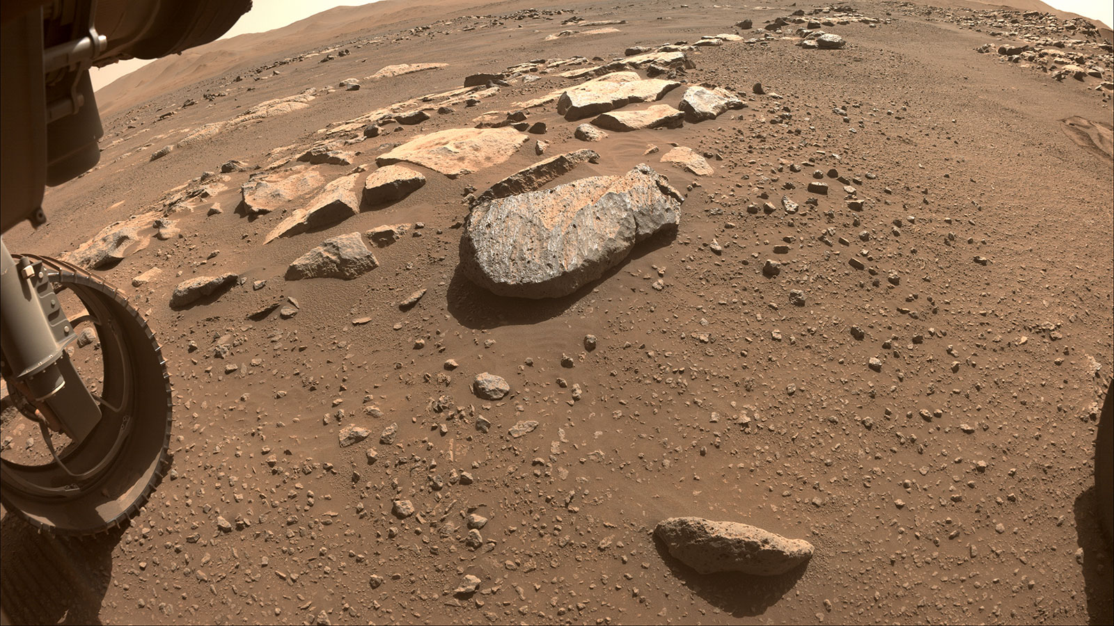NASA’s Perseverance Mars rover will abrade the rock at the center of this image