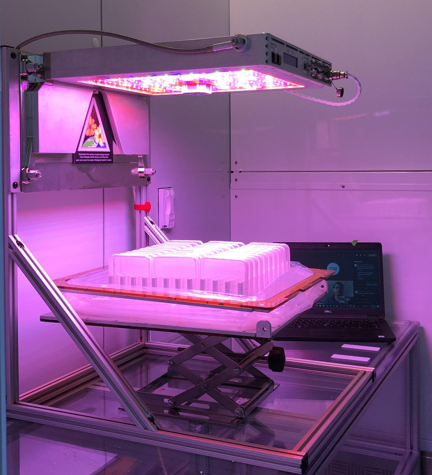 The Science Verification Test for NASA’s Advanced Plant Experiment-08 (APEX-08) takes place inside the Veggie growth chamber at NASA’s Kennedy Space Center in Florida on Nov. 6, 2020.
