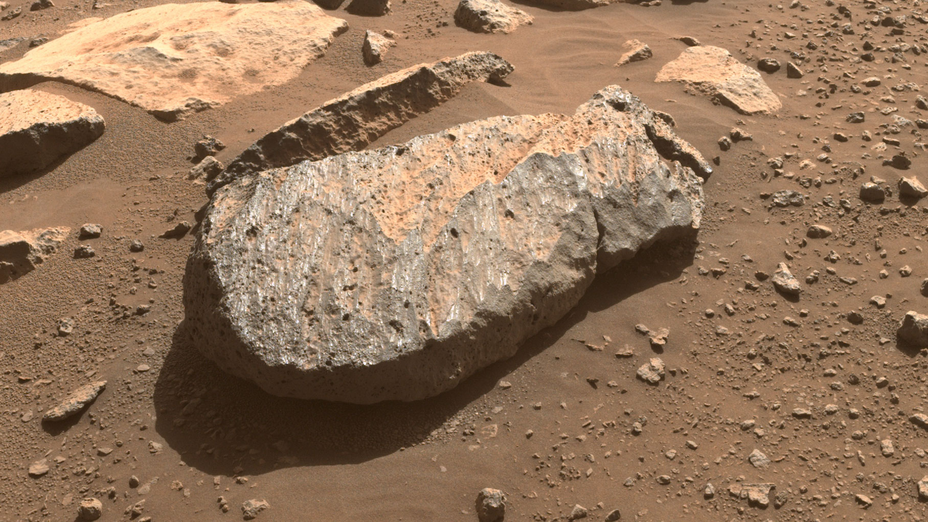 A close-up of the rock, nicknamed “Rochette”